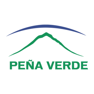 reaseguradora patria